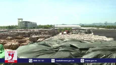Gỡ khó trong thu gom, tái chế sản phẩm bao bì