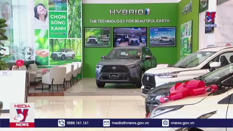 Bản tin thời sự 8h ngày 12/11/2024