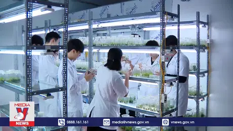 Nhiều ngành nghề nông nghiệp thiếu nhân lực chất lượng cao