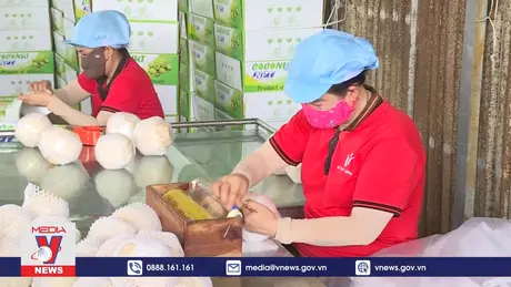 Tăng xuất khẩu chính ngạch nông sản: Cơ hội để chiếm lĩnh thị trường Trung Quốc