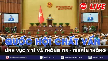 Sáng 12/11, Kỳ họp thứ 8, Quốc hội khóa XV: Chất vấn lĩnh vực Y tế, Thông tin và Truyền thông
