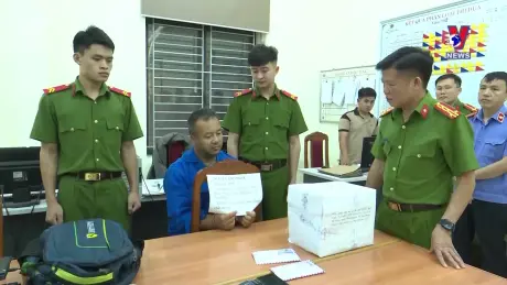 Đường dây nóng 389 ngày 12/11/2024