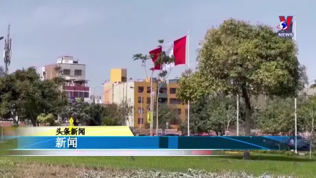 越通社新闻 12/11/2024