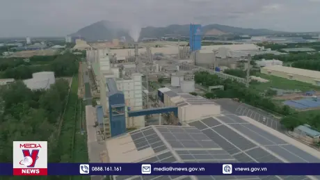 Phủ xanh nhà máy Đạm Phú Mỹ