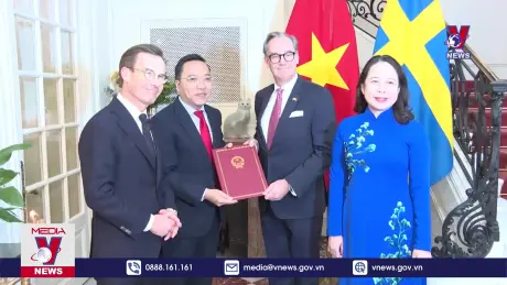 Bản tin thời sự 13h ngày 12/11/2024