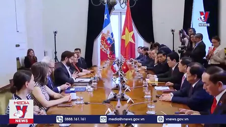 Bản tin thời sự 11h ngày 12/11/2024