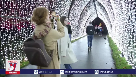 Vườn thực vật Kew thắp sáng đón Giáng sinh