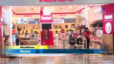VNA News 13/11/2024