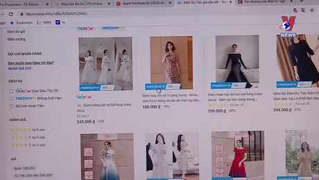 越通社新闻 14/11/2024