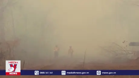 Bolivia công bố gói tín chỉ carbon