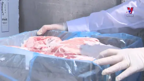 Nhật trình kinh tế ngày 15/11/2024