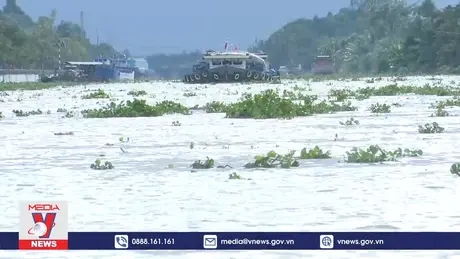 Hậu Giang ứng phó với triều cường rằm tháng 10