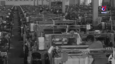 Khoảnh khắc & Sự kiện ngày 15/11/2024