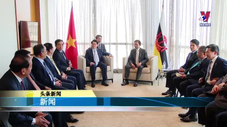 越通社新闻 15/11/2024