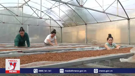 Hành trình 10 năm Quỹ Vì tầm vóc Việt