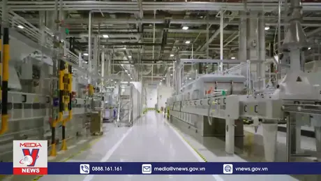 Đồng Nai phát triển công nghiệp xanh, hướng đến NET Zero