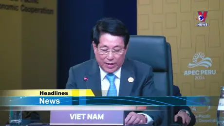 VNA News 16/11/2024