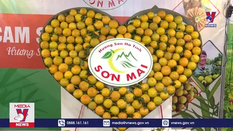 Lễ hội cam và nông sản đặc sản Hà Tĩnh