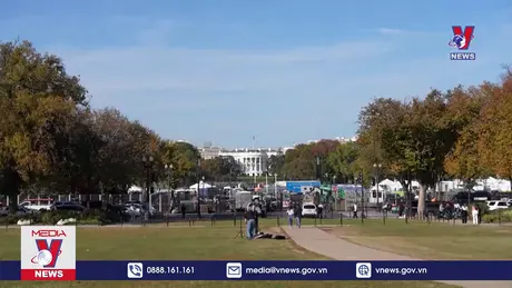 Bản tin thời sự 8h ngày 17/11/2024