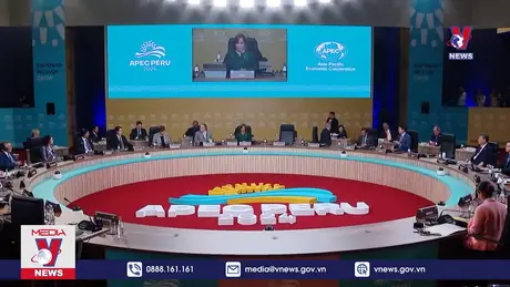 Bản tin thời sự 11h ngày 17/11/2024