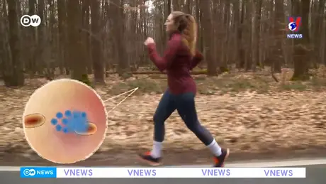 Tạp chí toàn cầu ngày 18/11/2024