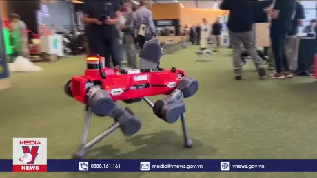 Tốc độ cải tiến AI đang chững lại