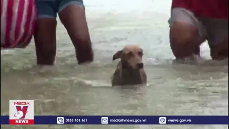 Bão nhiệt đới Sara gây thiệt hại cho Honduras