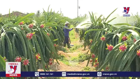 Bản tin thời sự 8h ngày 18/11/2024