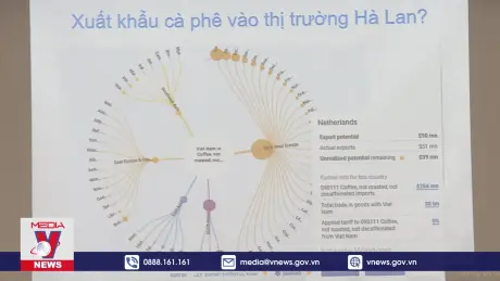 Những điều chỉnh, quy định mới của EU 