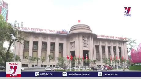 Bản tin thời sự 8h ngày 19/11/2024