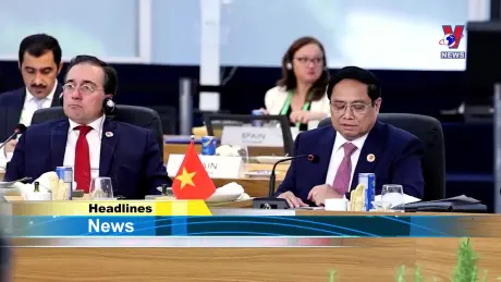 VNA News 19/11/2024