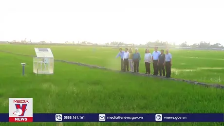WB thăm mô hình sản xuất lúa phát thải thấp