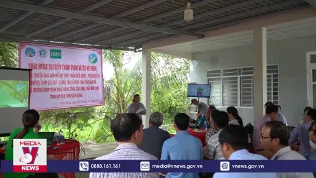 Kiên Giang nhân rộng Đề án 1 triệu ha lúa chất lượng cao