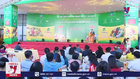 Bản tin thời sự 18h ngày 20/11/2024