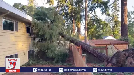 Bão lớn gây thiệt hại nghiêm trọng tại Mỹ