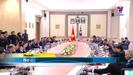 VNA News 21/11/2024