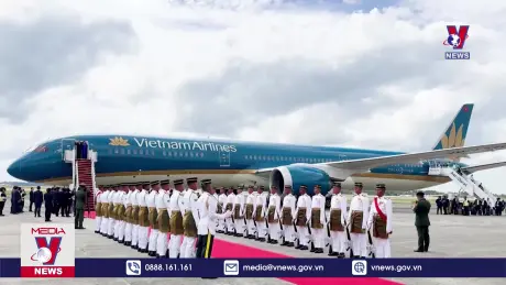 Bản tin thời sự 20h ngày 21/11/2024