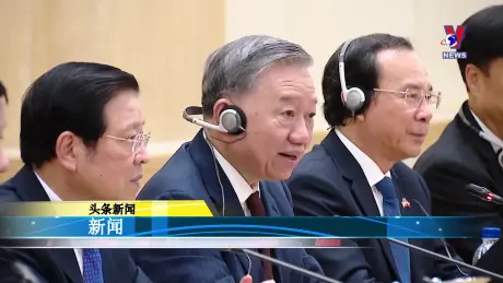 越通社新闻 21/11/2024