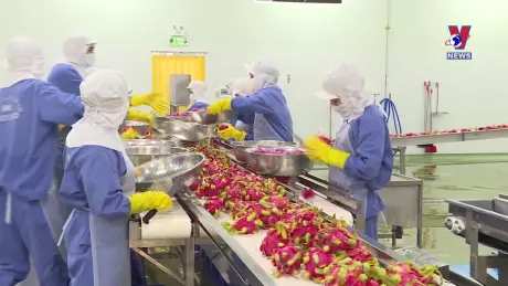 Nhật trình kinh tế ngày 22/11/2024