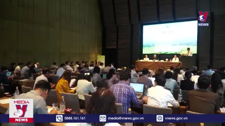 Bản tin thời sự 17h ngày 22/11/2024