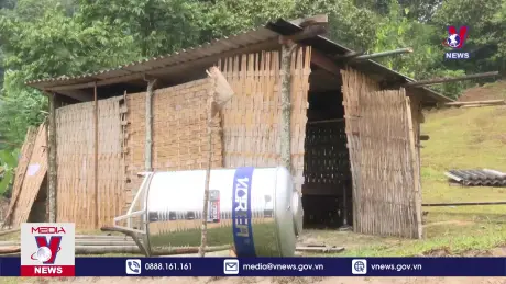 Bản tin thời sự 08h ngày 22/11/2024