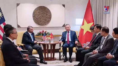 VNA News 23/11/2024