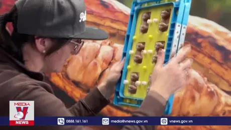 Ngành chocolate Đức “đau đầu” về chi phí sản xuất