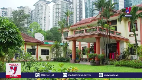 Bản tin Thời sự 13h ngày 23/11/2024