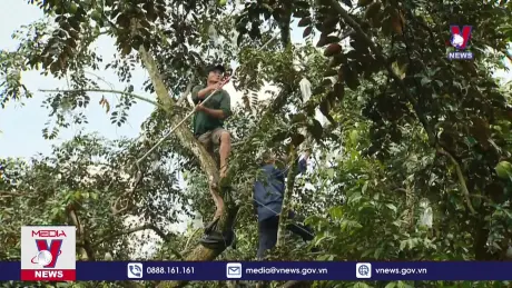 Bài toán giảm giá thành sản xuất nông nghiệp chưa có lời giải