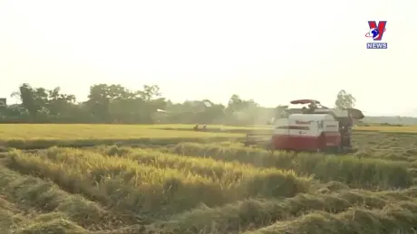 Tiềm năng phát triển thị trường carbon tại Việt Nam