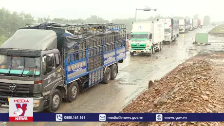 Ùn tắc giao thông tại dự án cao tốc Hòa Liên – Túy Loan