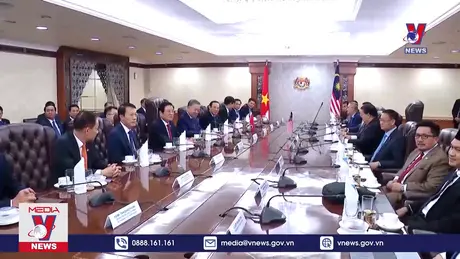 Bản tin thời sự 11h ngày 24/11/2024