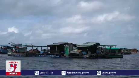 Nhiều giải pháp tháo gỡ khó khăn cho nghề nuôi cá lồng bè ở Kiên Giang