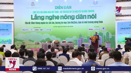 Bản tin thời sự 13h ngày 24/11/2024